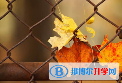 樂山2022年中考招生網(wǎng)絡(luò)應(yīng)用服務(wù)平臺