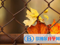 樂山2022年中考招生網絡應用服務平臺