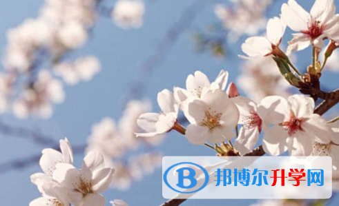 樂山2022年中考招生線