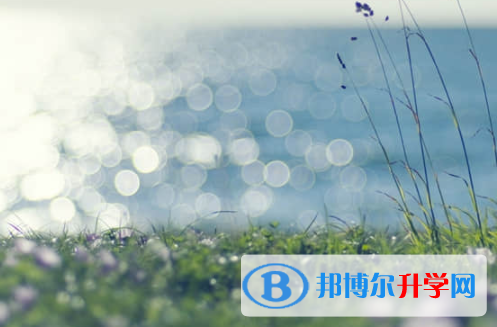 樂山2022年中考指南