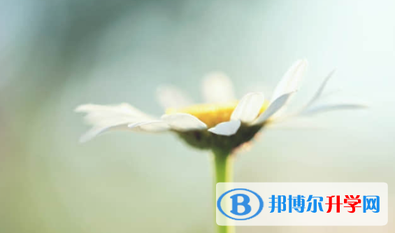 樂(lè)山2022年中考志愿的樣表