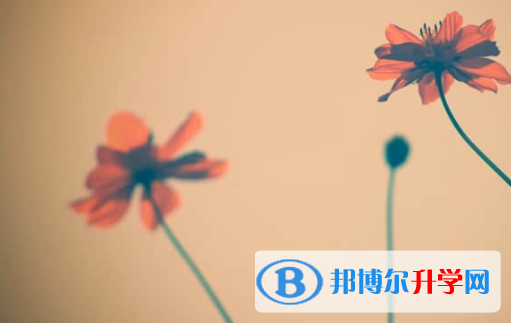 樂山2022年中考志愿官網