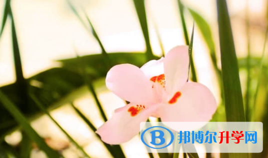 樂山2022年中考重點(diǎn)線錄取