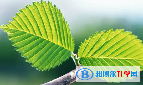 樂山2022年中考重點線預測