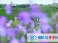 樂山2022年中考升學率