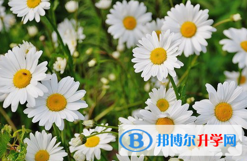 樂山2022年中考準考證