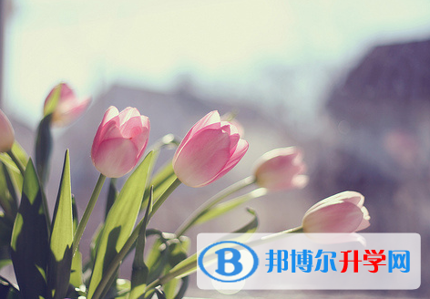 樂山2022年中考招生學校