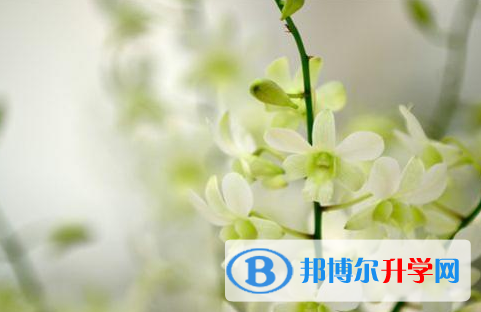 樂山2022年中考準考證丟了怎么辦