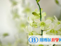 樂山2022年中考準考證丟了怎么辦