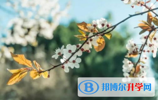 樂山2022年中考是多久