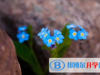 樂山2022年中考沒有考上怎么辦
