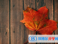 樂山2022年中考落榜了怎么辦