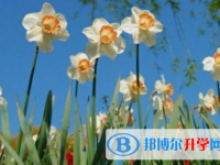 樂山2022年中考的報名號是什么
