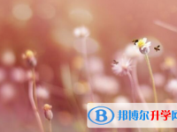 樂山2022年中考報名自薦信怎么寫