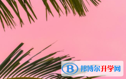 樂山2022年中考200多的哪些學校要
