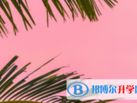 樂山2022年中考200多的哪些學校要