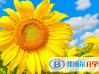 樂山2022年中考372可以讀的學校