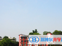 樂山2022年中考453可以讀哪些學校