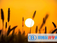 樂山2022年怎么寫中考自薦書