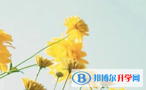 樂山2022年怎樣中考正常發揮