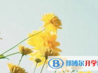 樂山2022年怎樣中考正常發揮