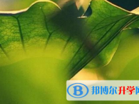 樂山2022年這次中考多久結束