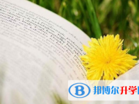樂山2022年什么是中考調劑生