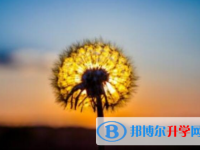 樂山2022年未參加中考可以讀啥學校
