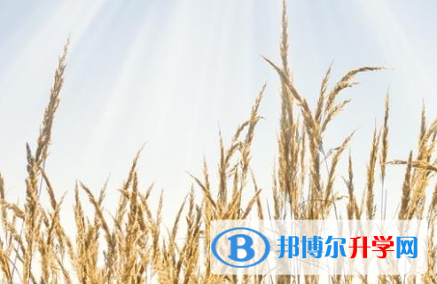 樂(lè)山2022年孩子因病錯(cuò)過(guò)中考怎么辦