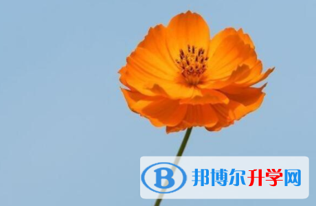 樂山2022年好多號(hào)中考