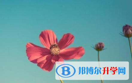 樂山2022年好久中考