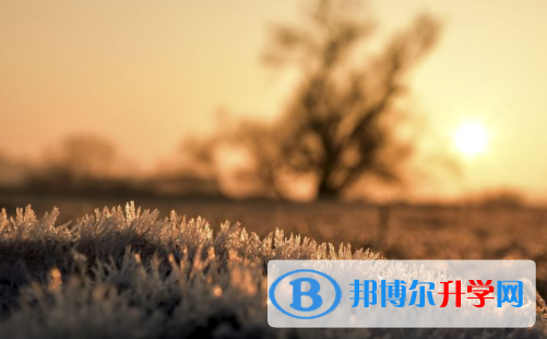 樂(lè)山2022年中考報(bào)名網(wǎng)站是什么