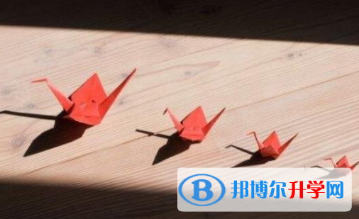樂山2022年中考報(bào)名志愿