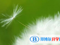 樂山2022年中考填報志愿后還可以改嗎