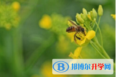樂山2022年中考調劑志愿是什么意思