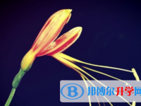 南充2022年網(wǎng)上查詢中考成績