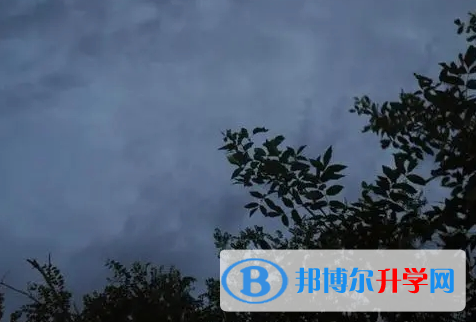 南充2022年網(wǎng)上查詢(xún)中考成績(jī)?cè)趺床樵?xún)
