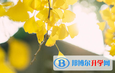 南充2022年中考成績什么時候出來