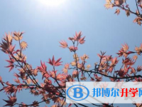 南充2022年中考成績(jī)什么時(shí)間知道