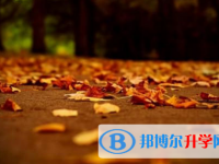 南充2022年中考成績(jī)有沒(méi)D