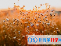 南充2022年中考多久出成績(jī)