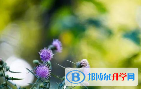 南充2022年中考后幾天出成績