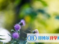 南充2022年中考后幾天出成績(jī)