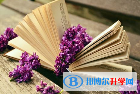 南充2022年中考報考人數(shù)