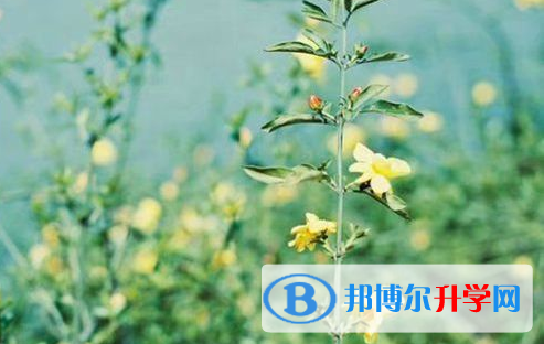 南充2022年中考報名平臺