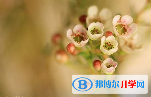 南充2022年中考考生人數