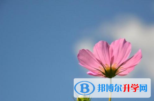 南充2022年中考可以報哪些學校