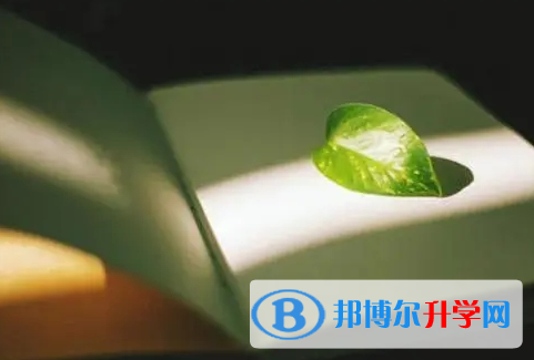 南充2022年中考錄取報名網