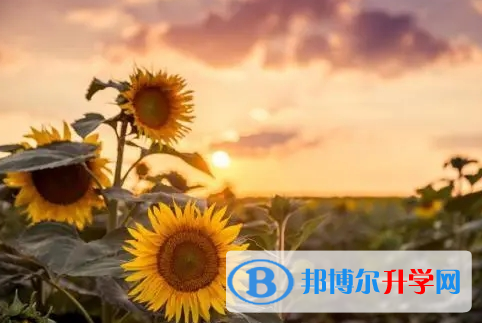 南充2022年中考錄取查詢入口