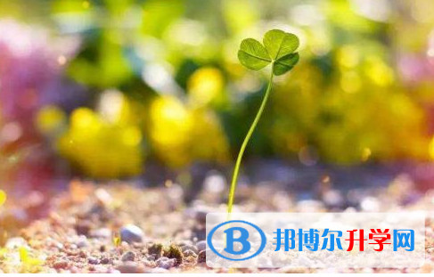 南充2022年中考錄取結果查詢